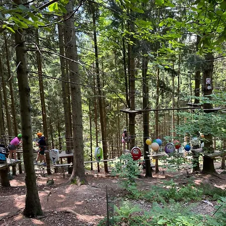 Weiss Lejlighed Mönichkirchen